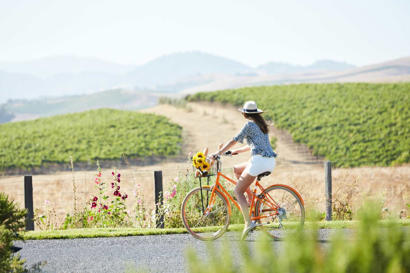 Carneros Resort and Spa- 90