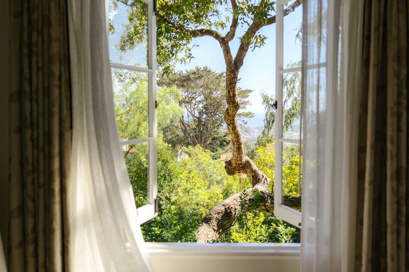 El Encanto- 109