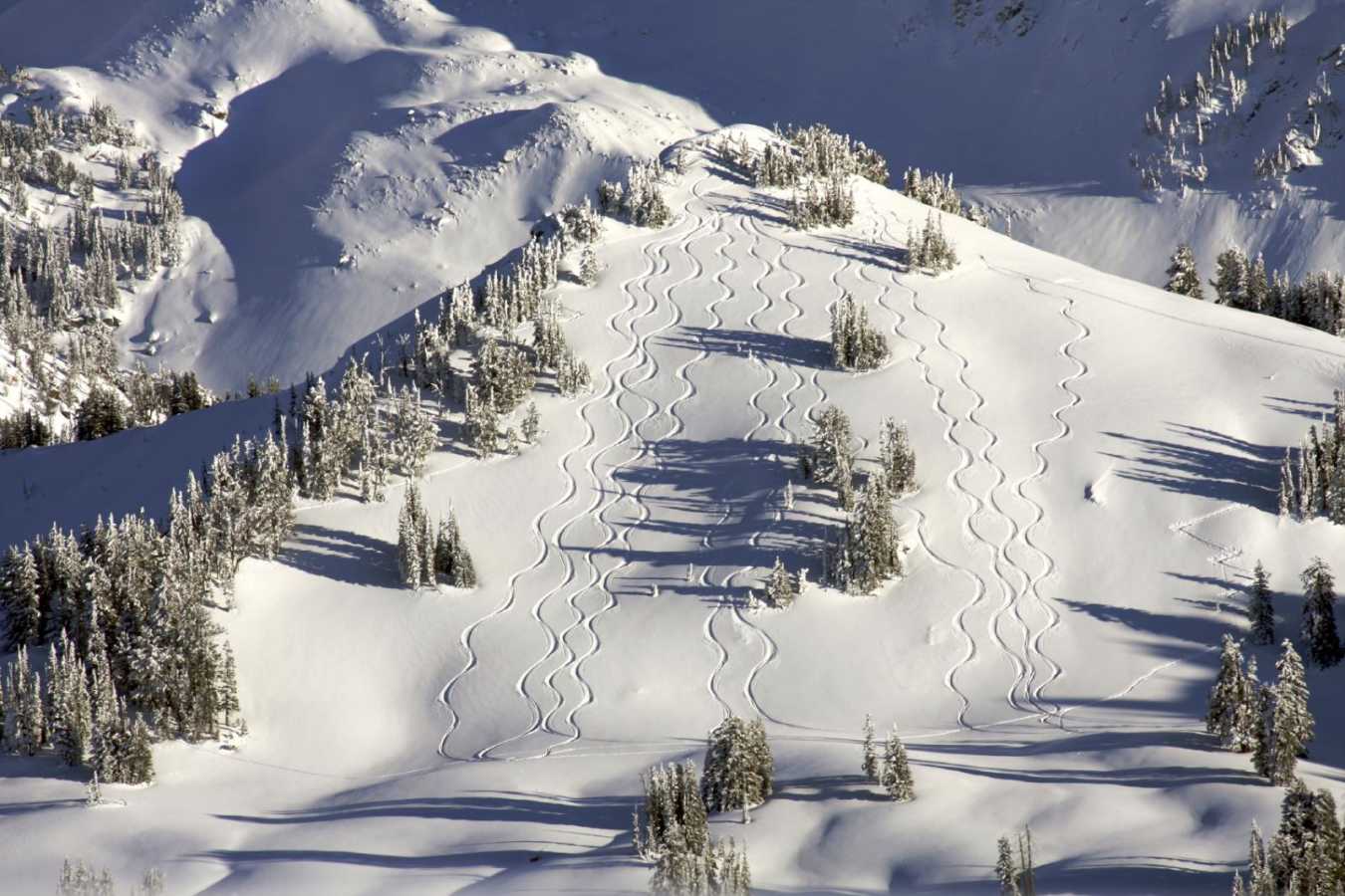 Skiing - Experience  Jackson Hole
