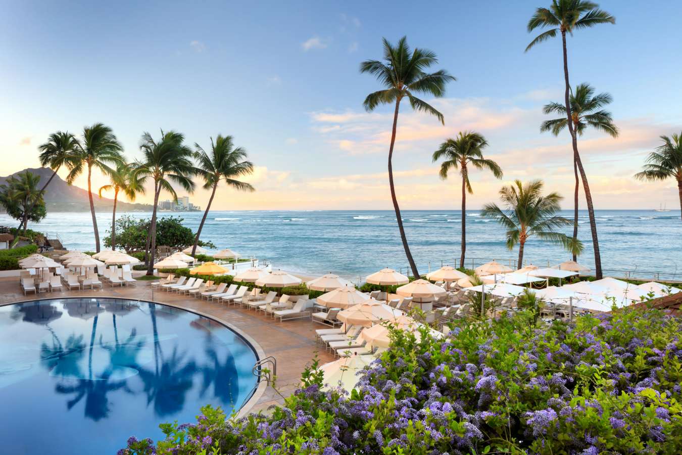 Halekulani- 82