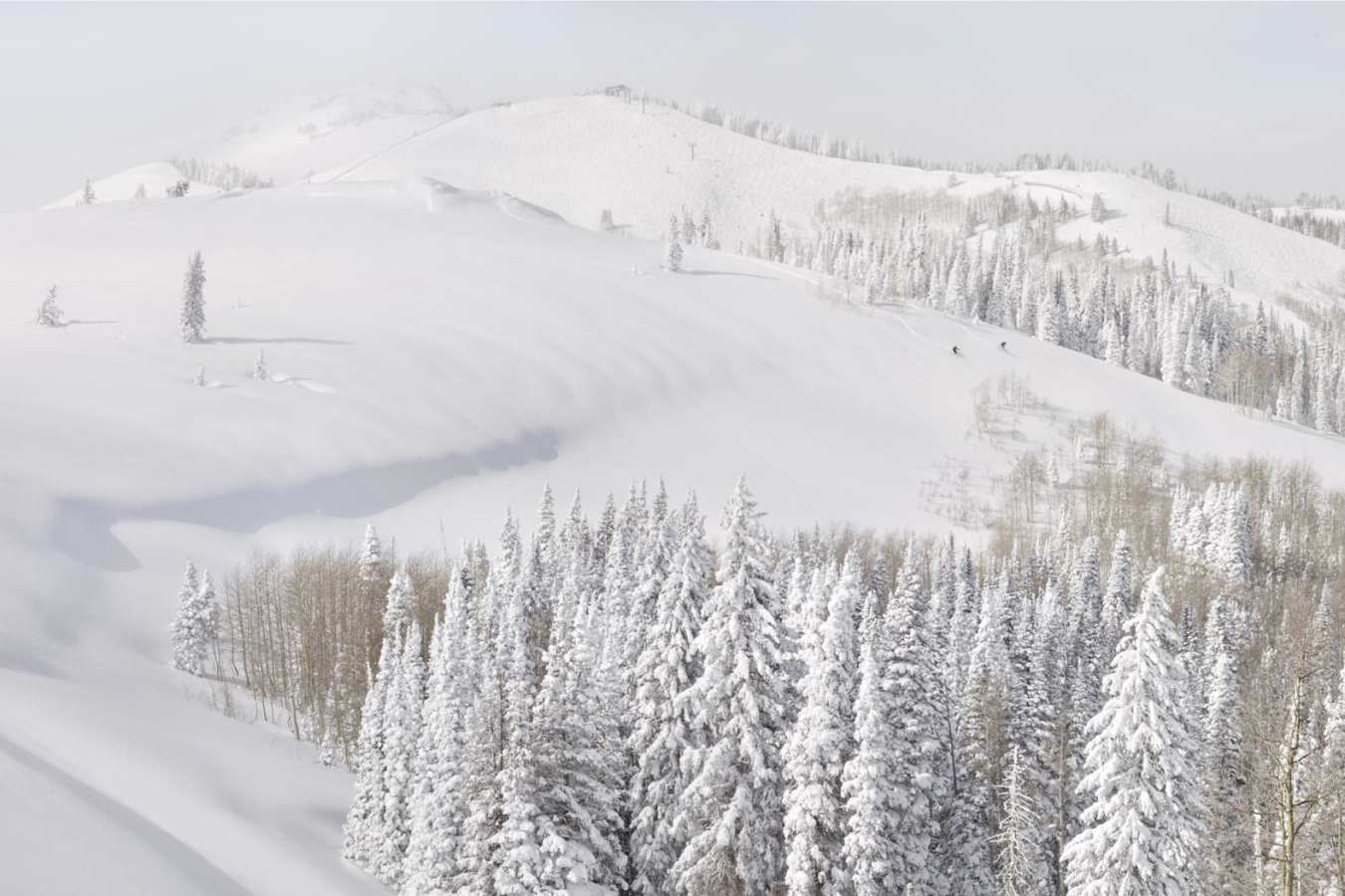 Montage Deer Valley