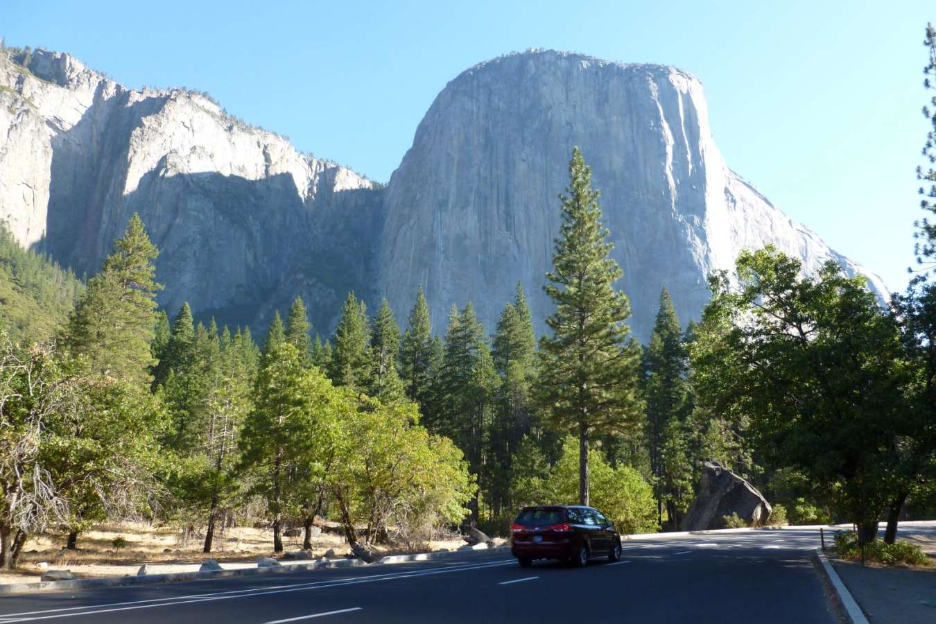 El Capitan - The Redwoods in Yosemite 
