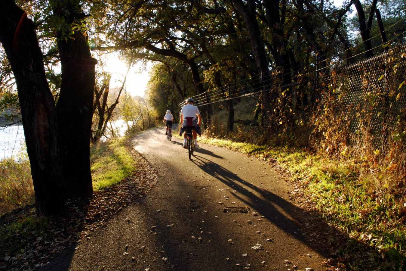 Bike Trails