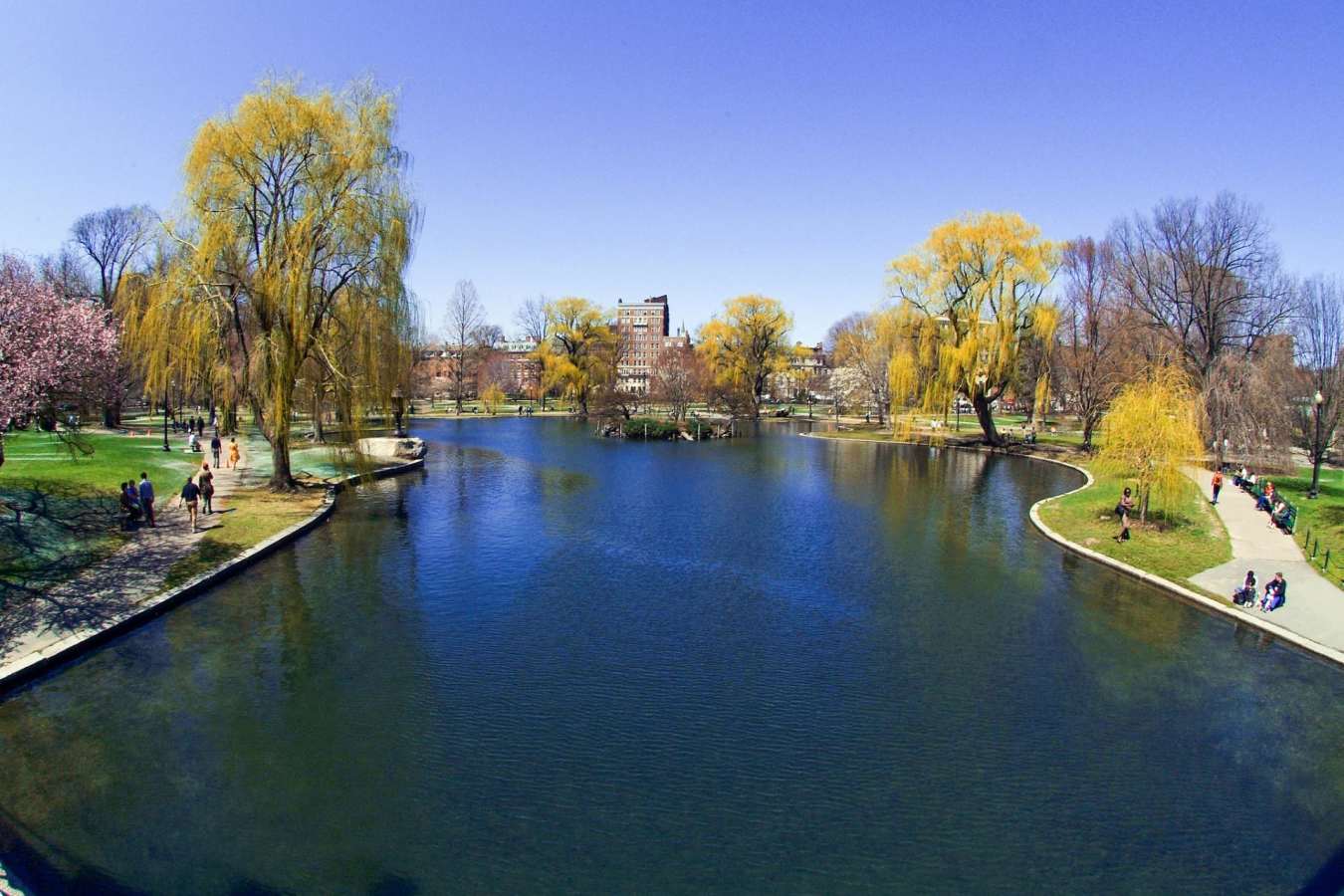 Boston Common Duck Pond - Simply New England Summer Holiday 