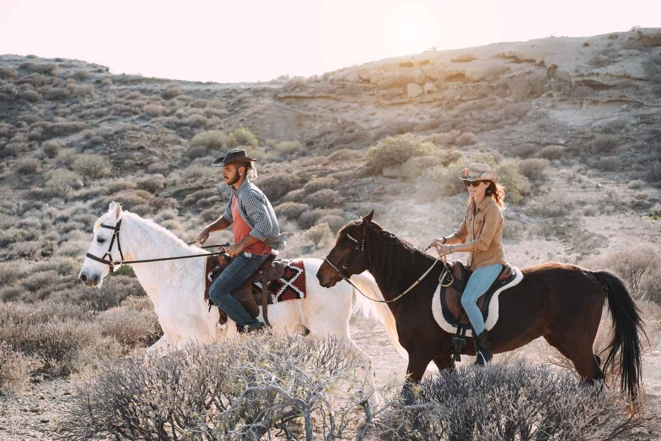 Horse Riding 
