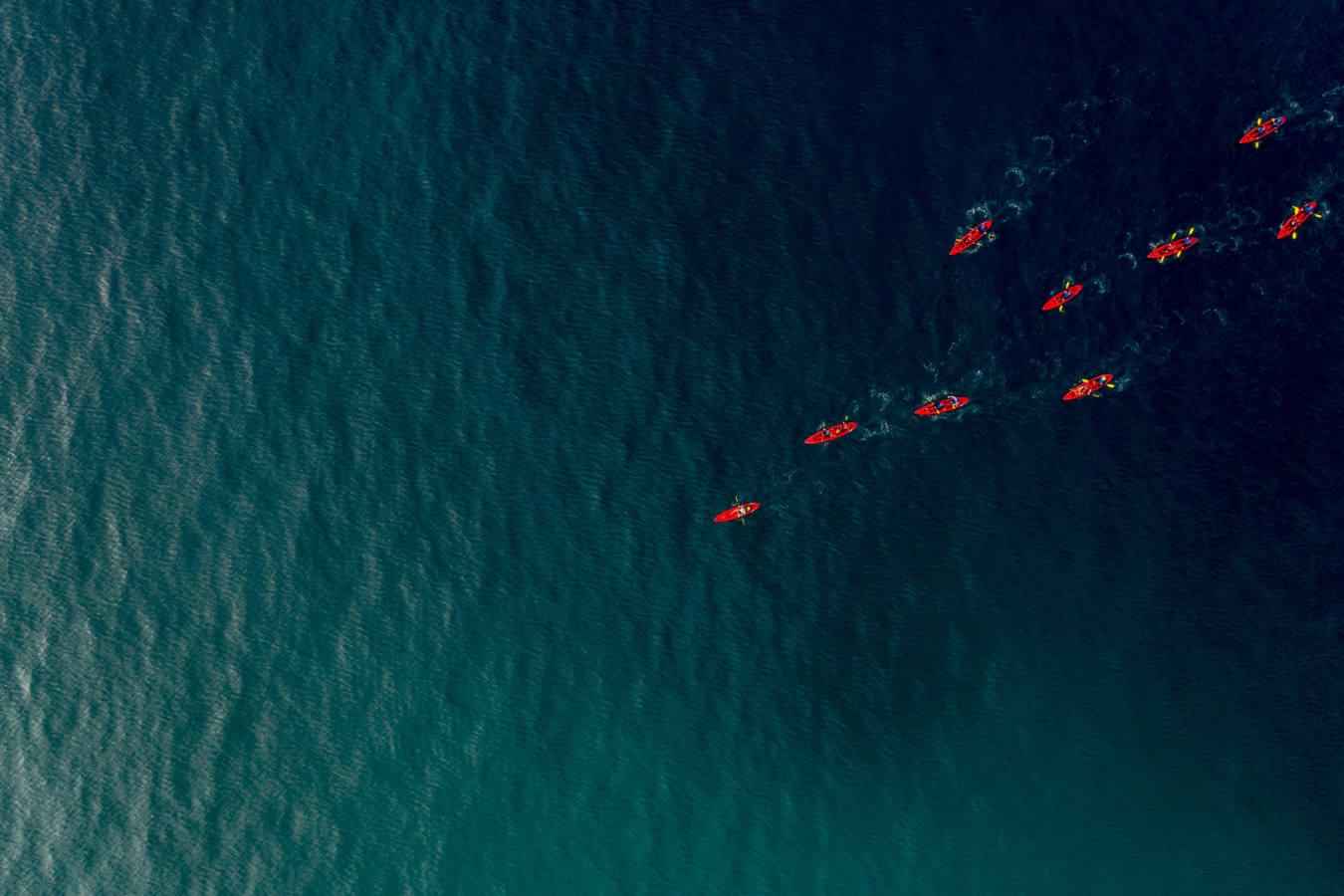 Kayak 