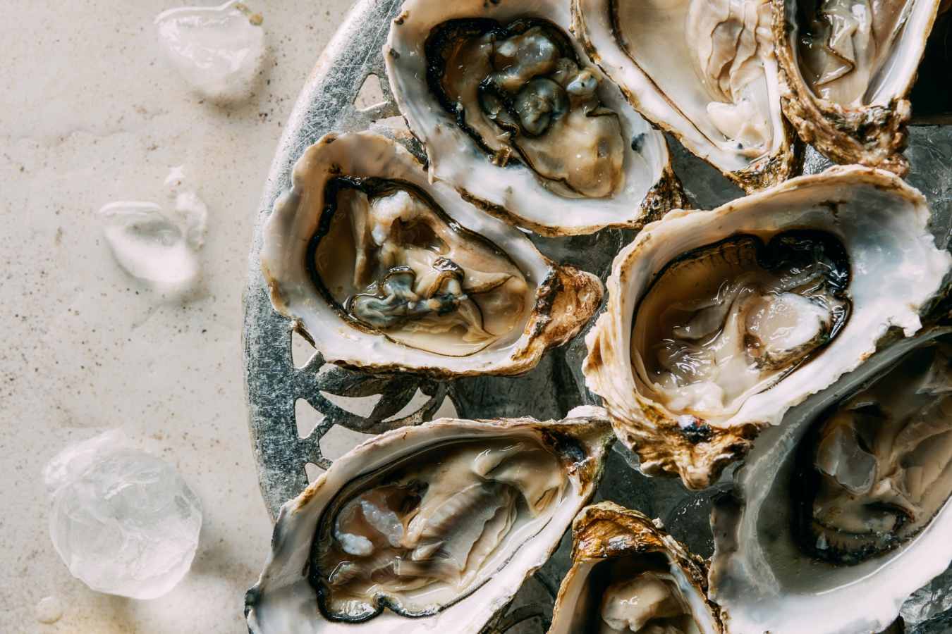 Oysters 