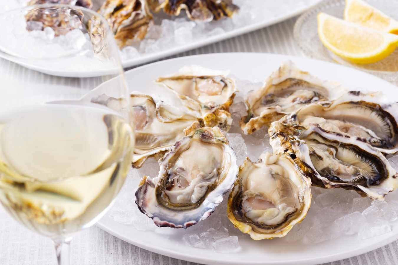 Oysters 