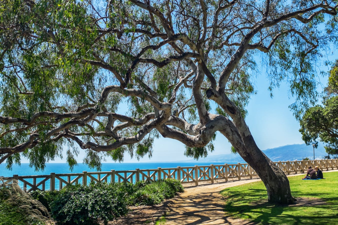 Santa Monica parks 