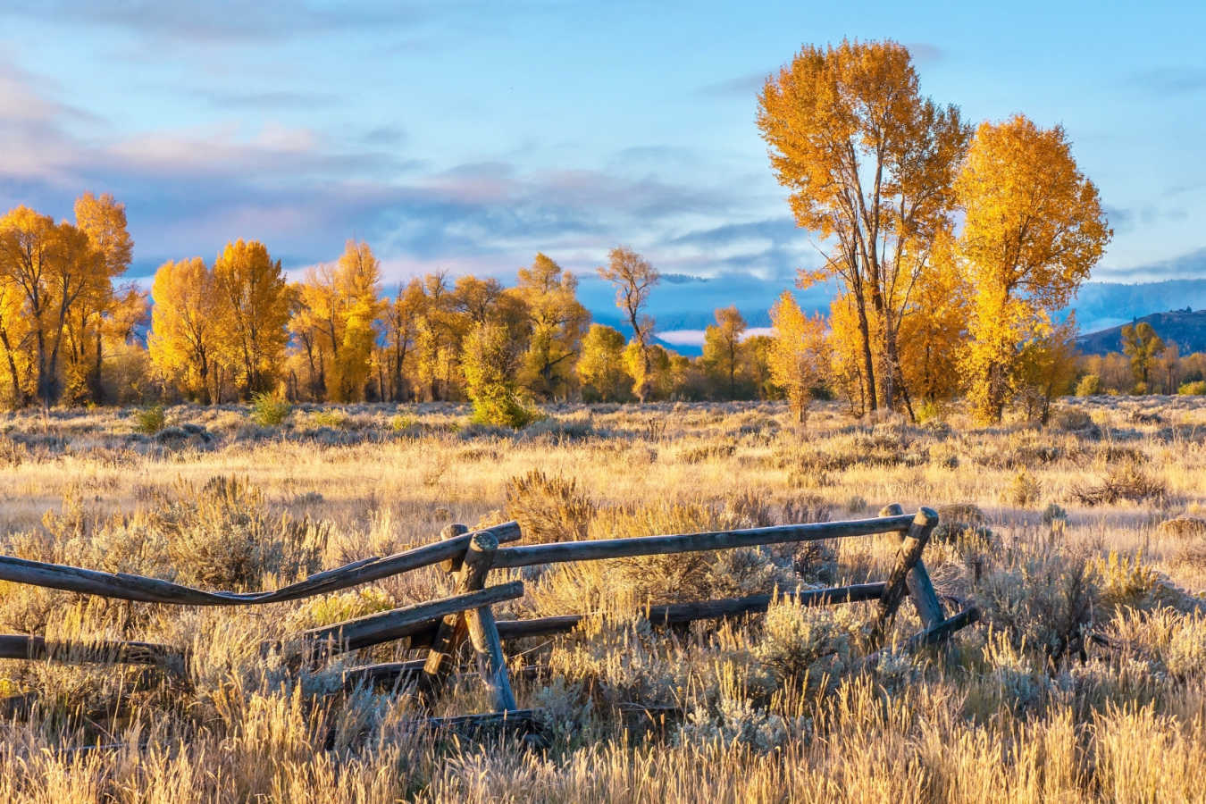 Jackson Hole 