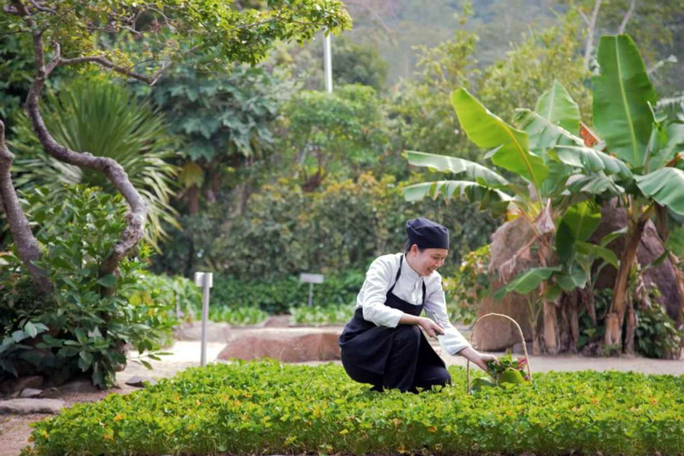 Six Senses Ninh Van Bay- 24