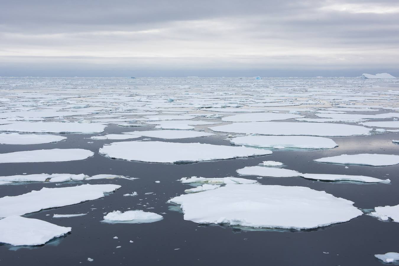 Ice Floes 