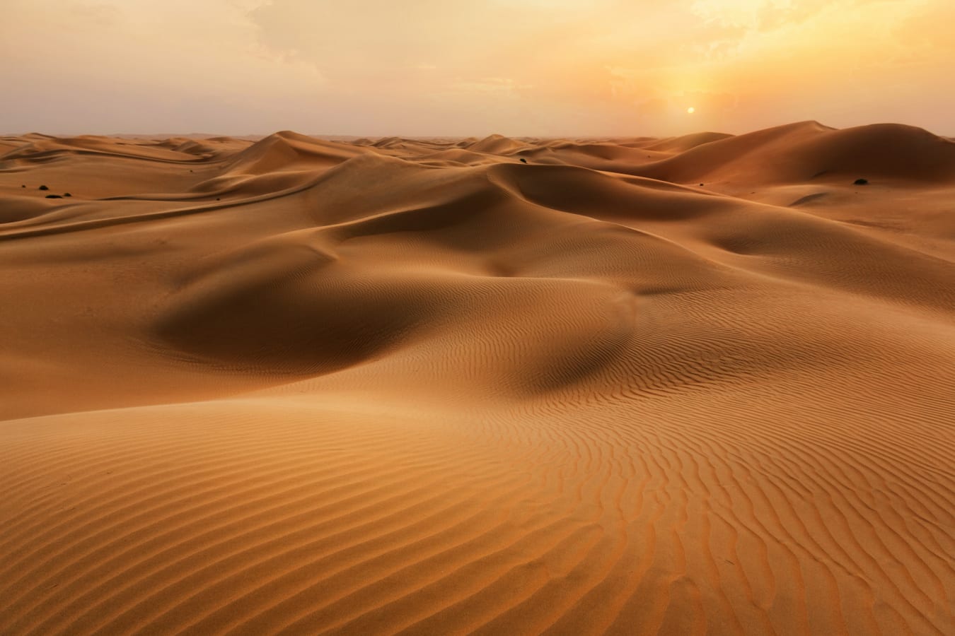 Sand Dunes 