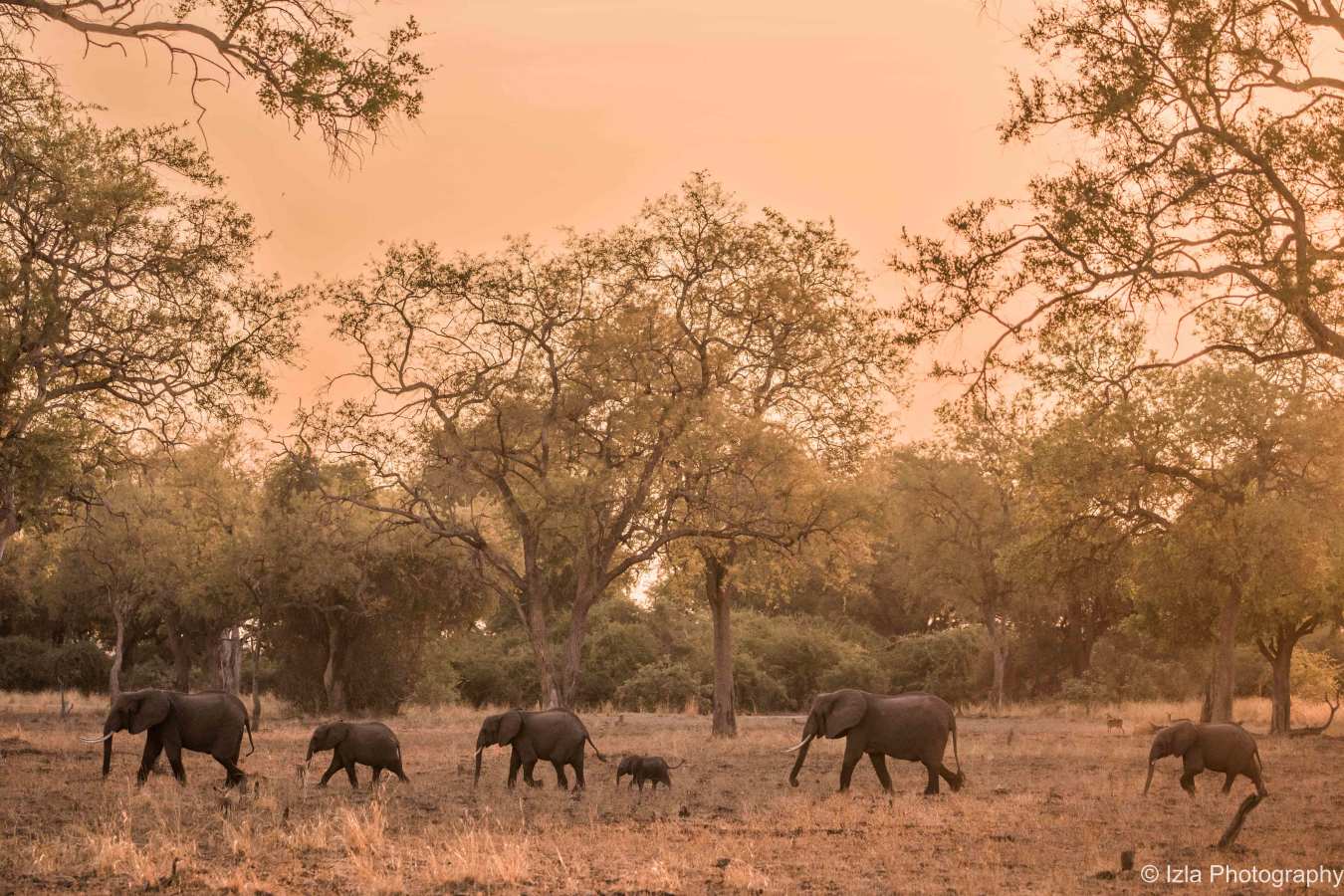 Kafunta River Lodge- 11