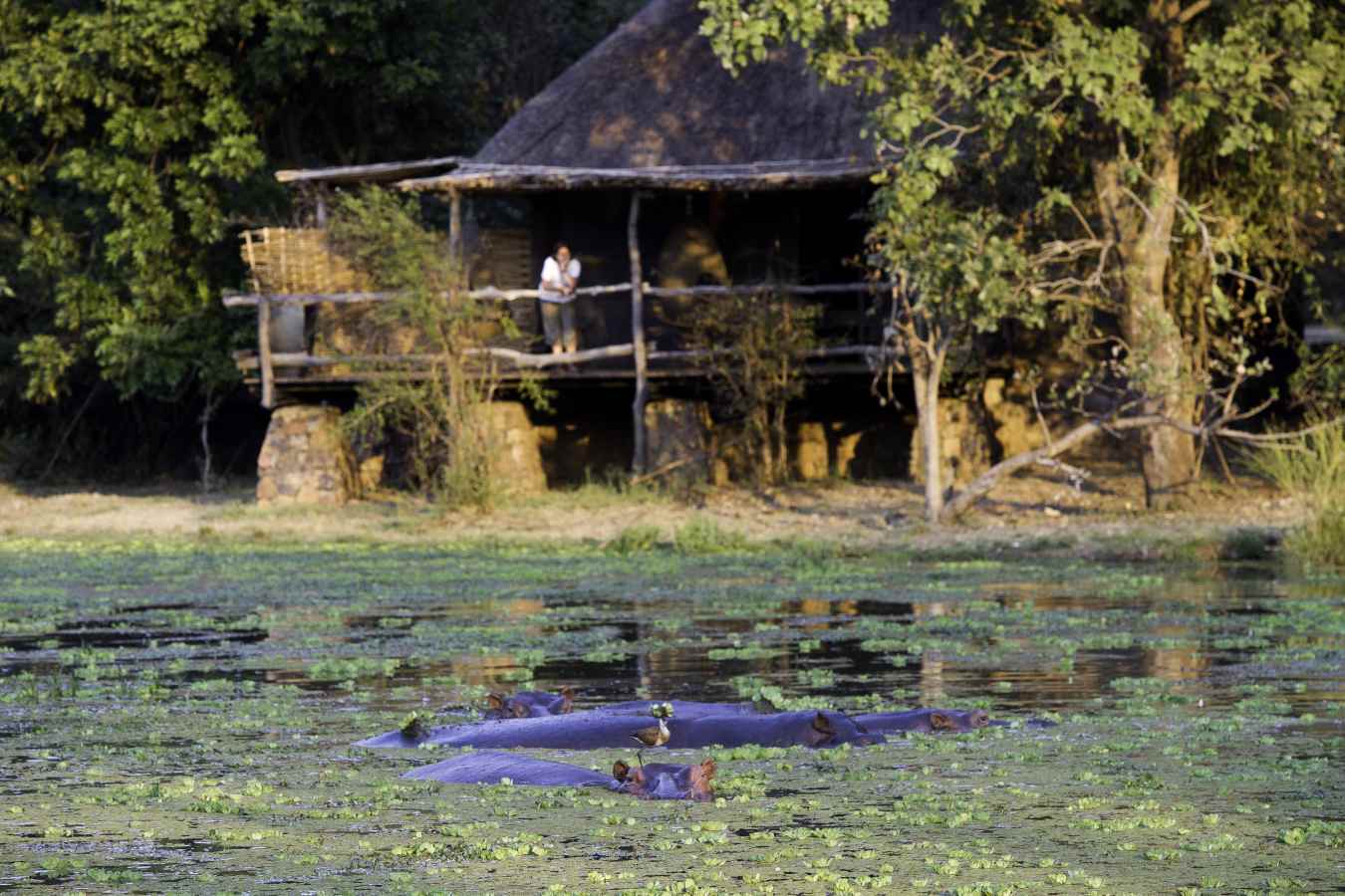 Mfuwe Lodge- 33