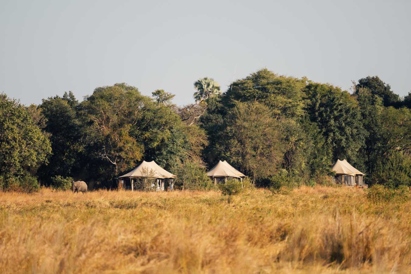 Musekese Camp- 14