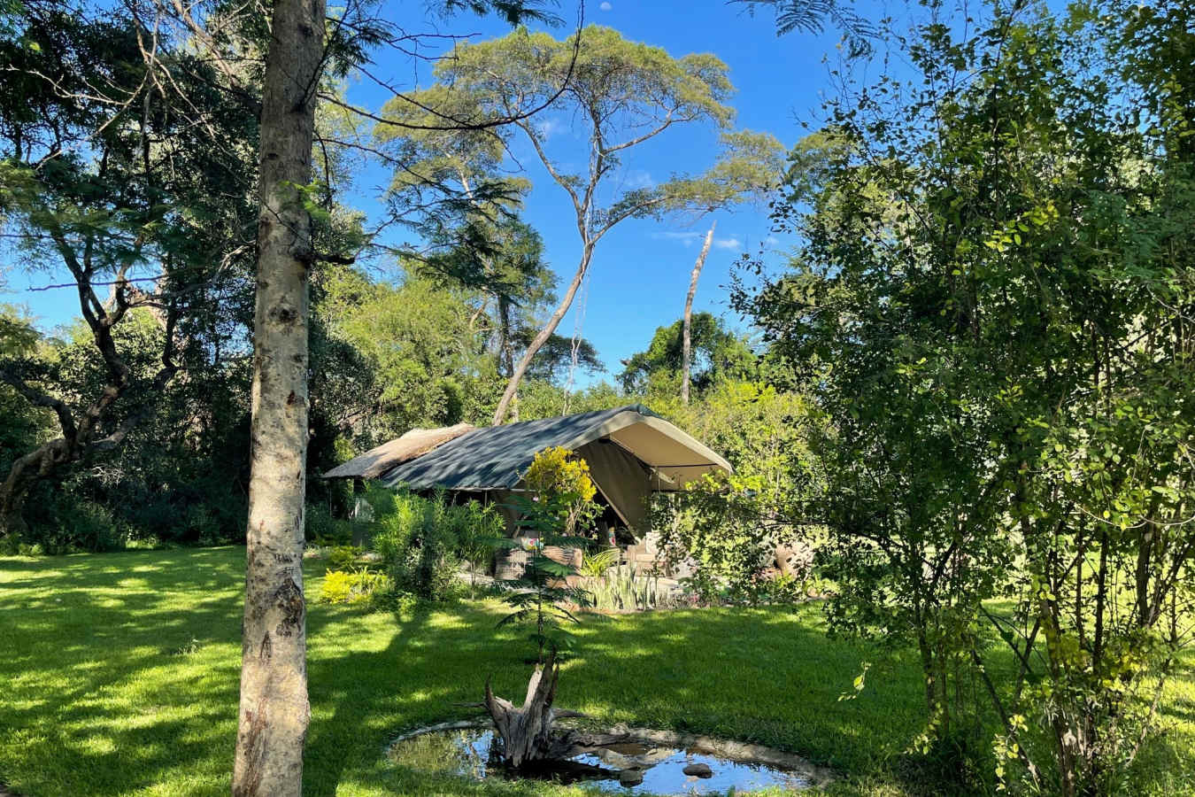 Waterberry Zambezi Lodge- 32