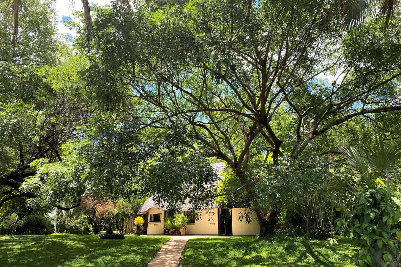 Waterberry Zambezi Lodge- 27