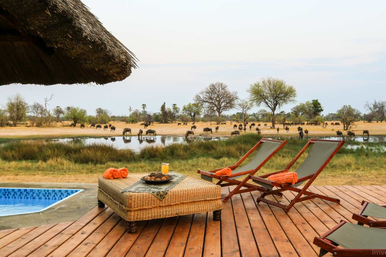 Bomani Tented Lodge- 25