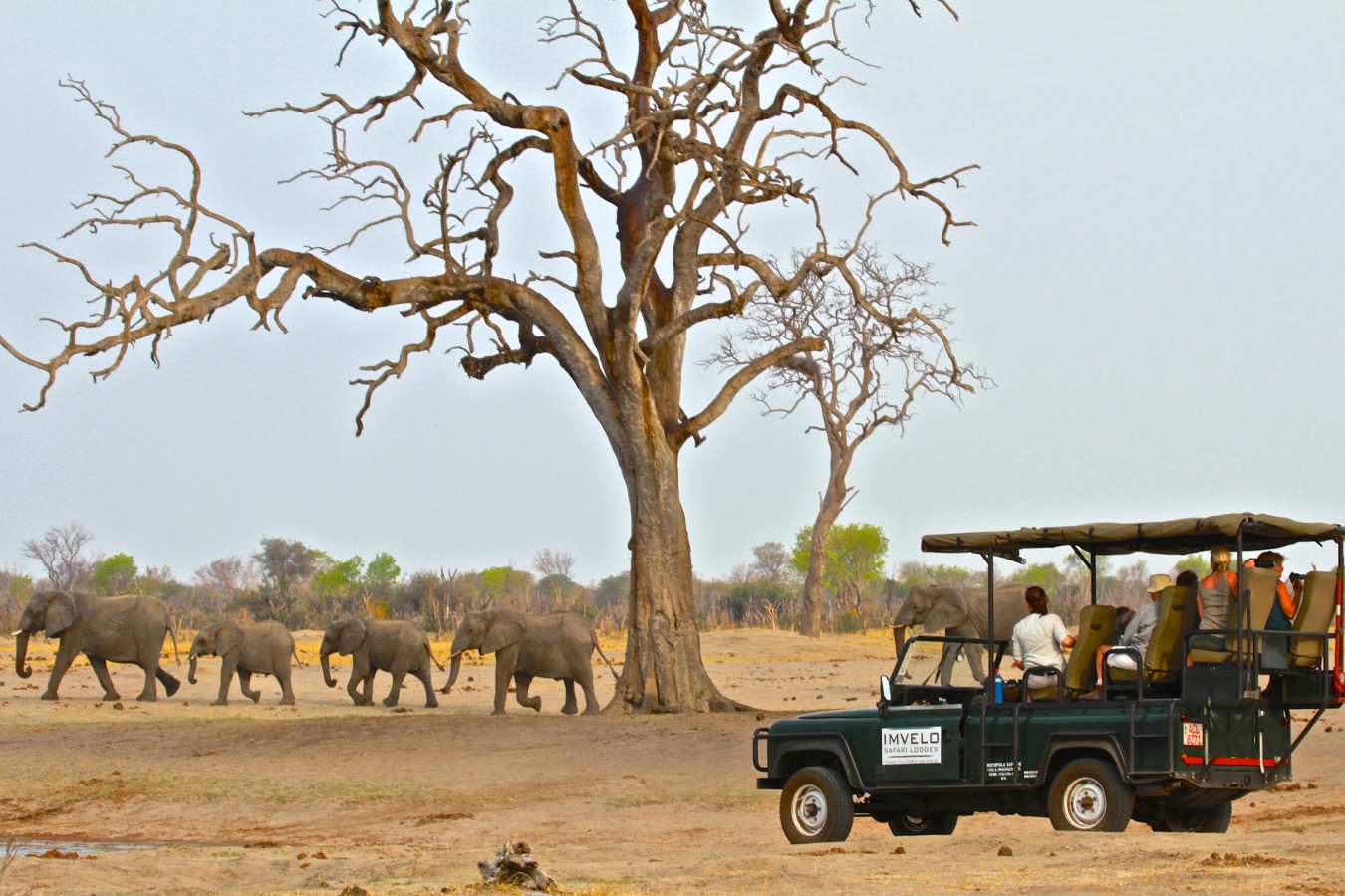 Bomani Tented Lodge- 37