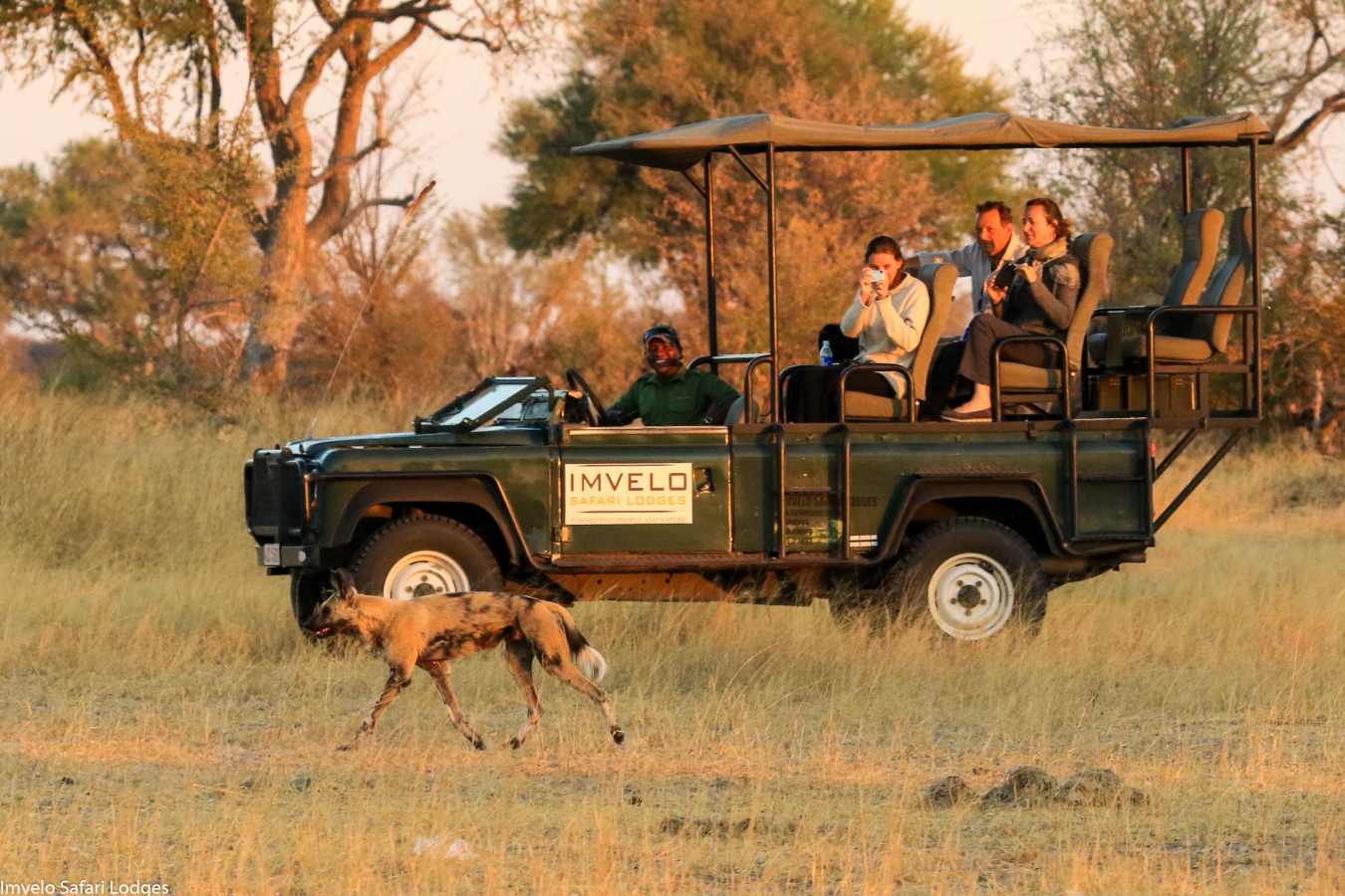Bomani Tented Lodge- 19