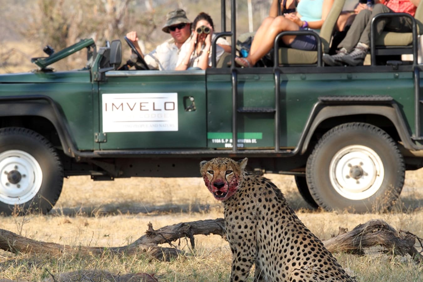 Bomani Tented Lodge- 22