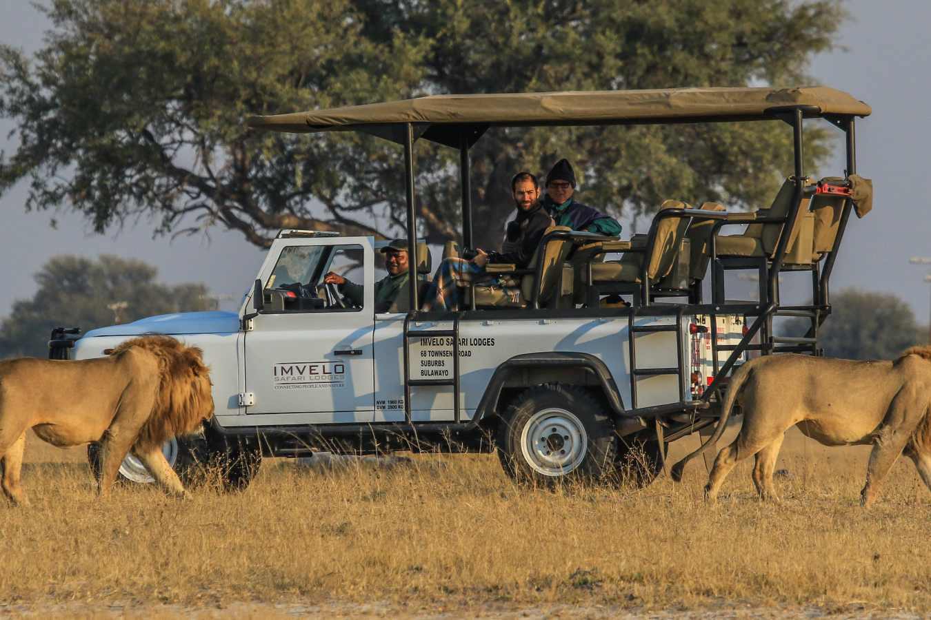 Bomani Tented Lodge- 35
