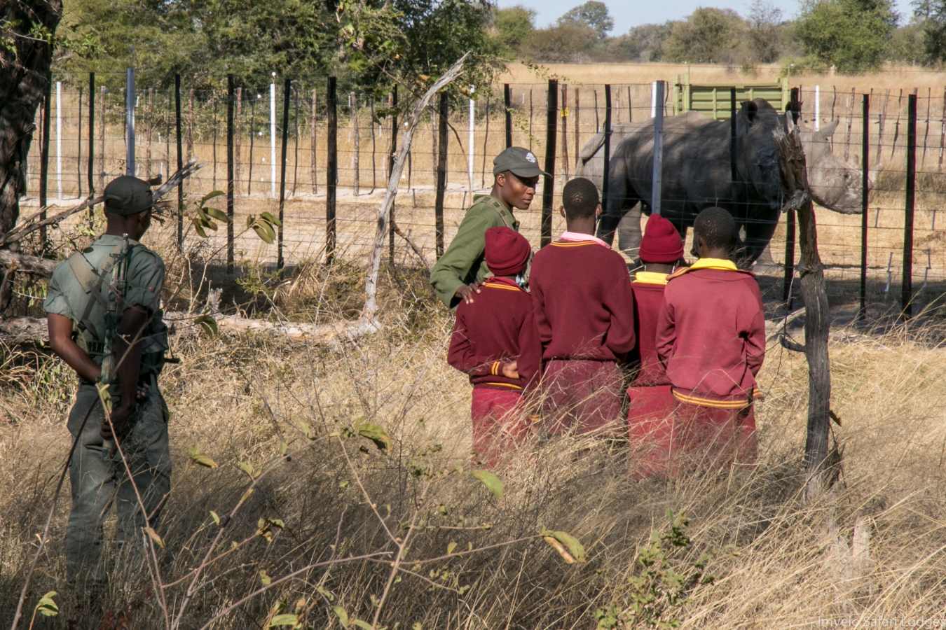 Bomani Tented Lodge- 58