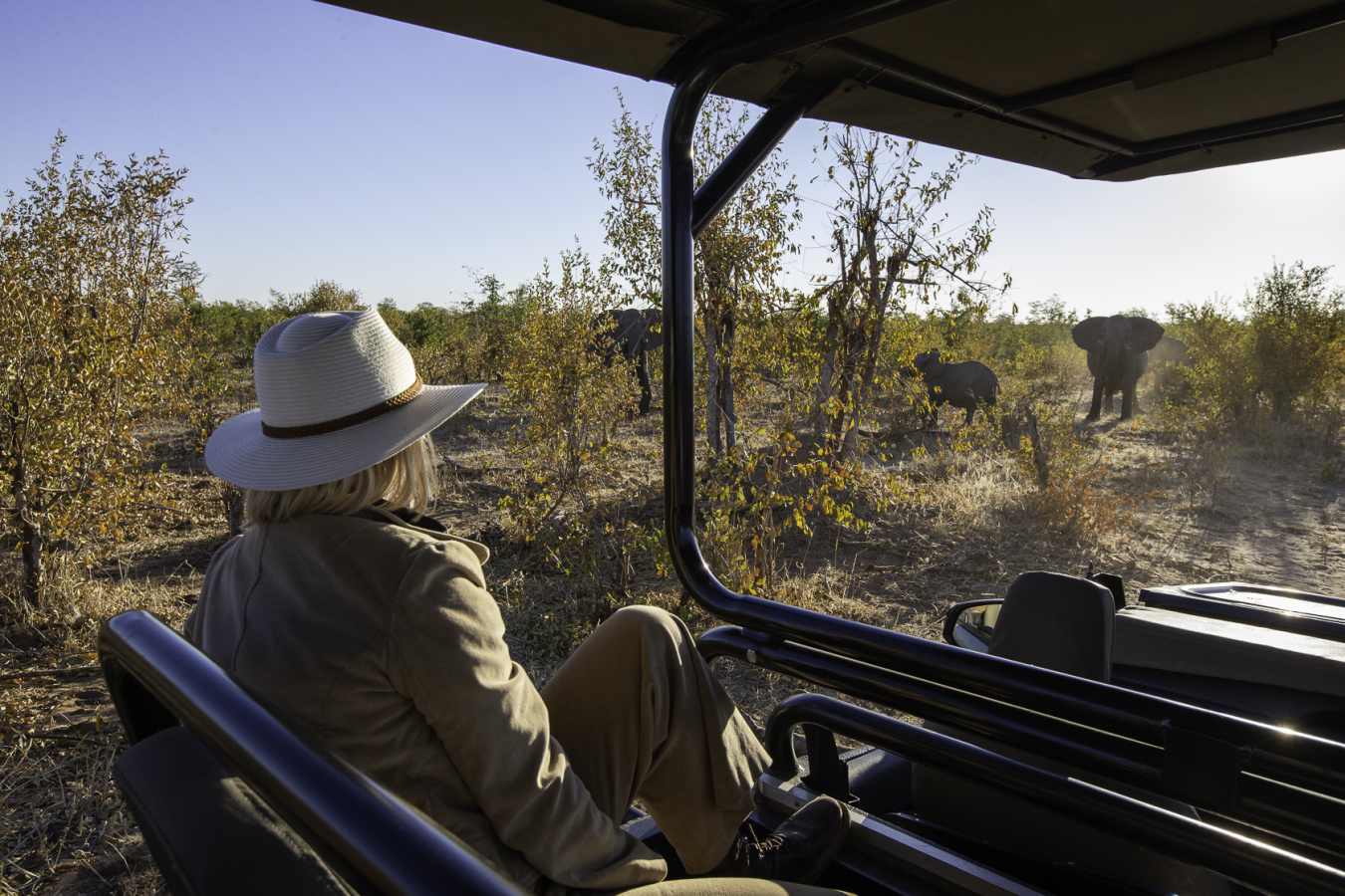 Camp Hwange- 32
