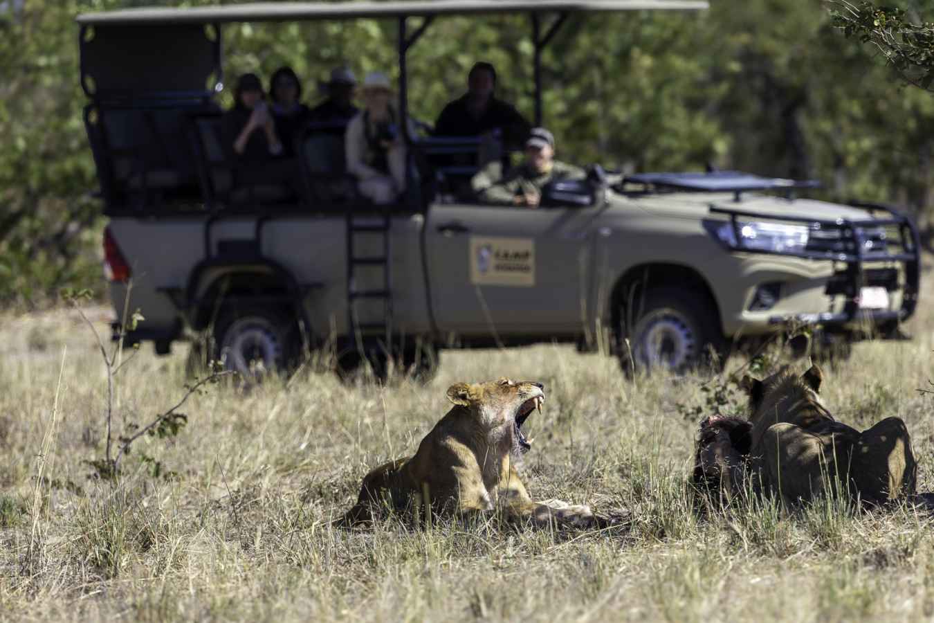 Camp Hwange- 31