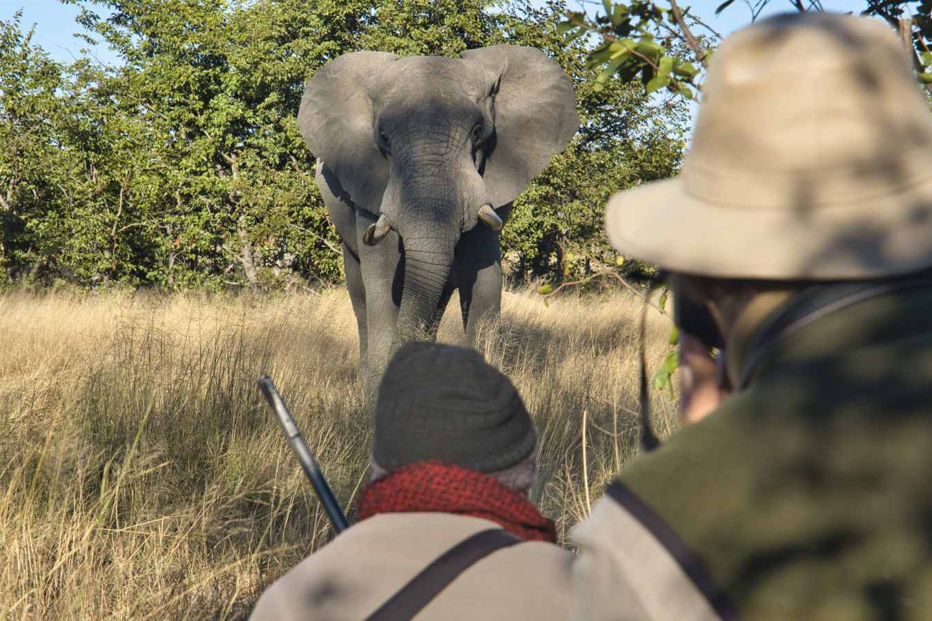 Camp Hwange- 19