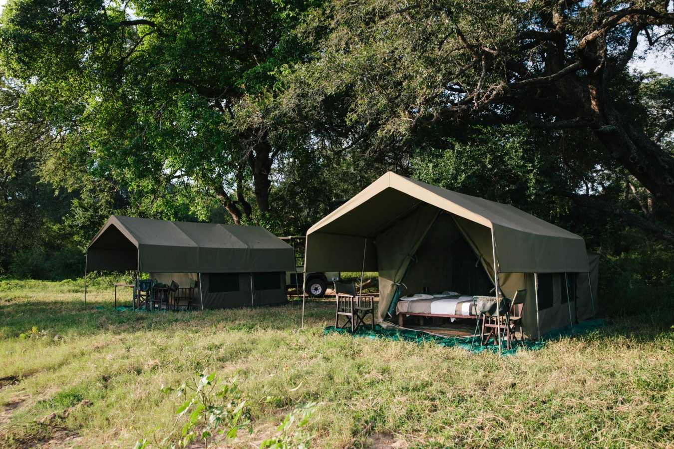 Camp 