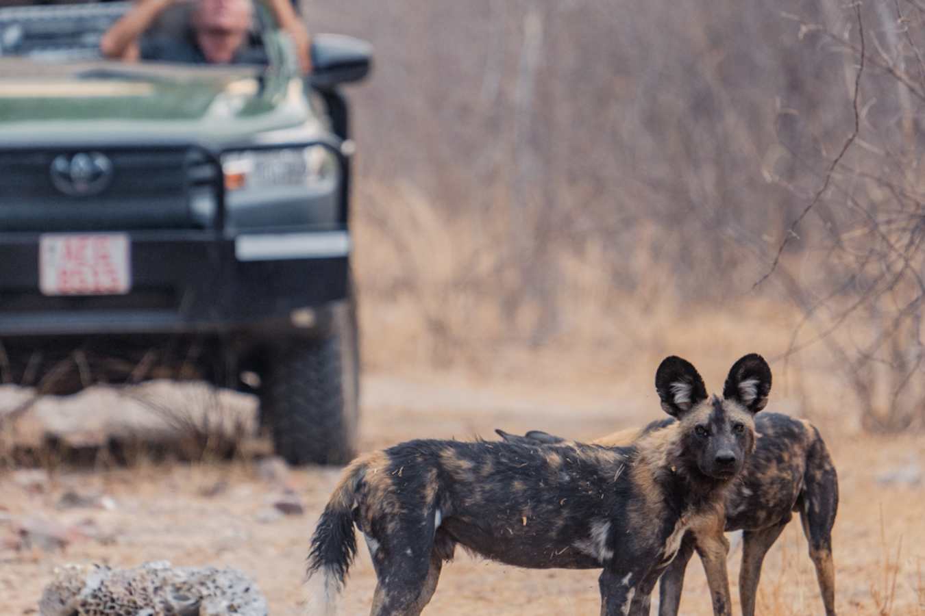 Khulu Bush Camp- 19