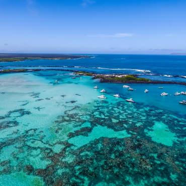 Galapagos