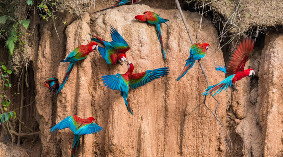 Family Adventure and Nature Tour