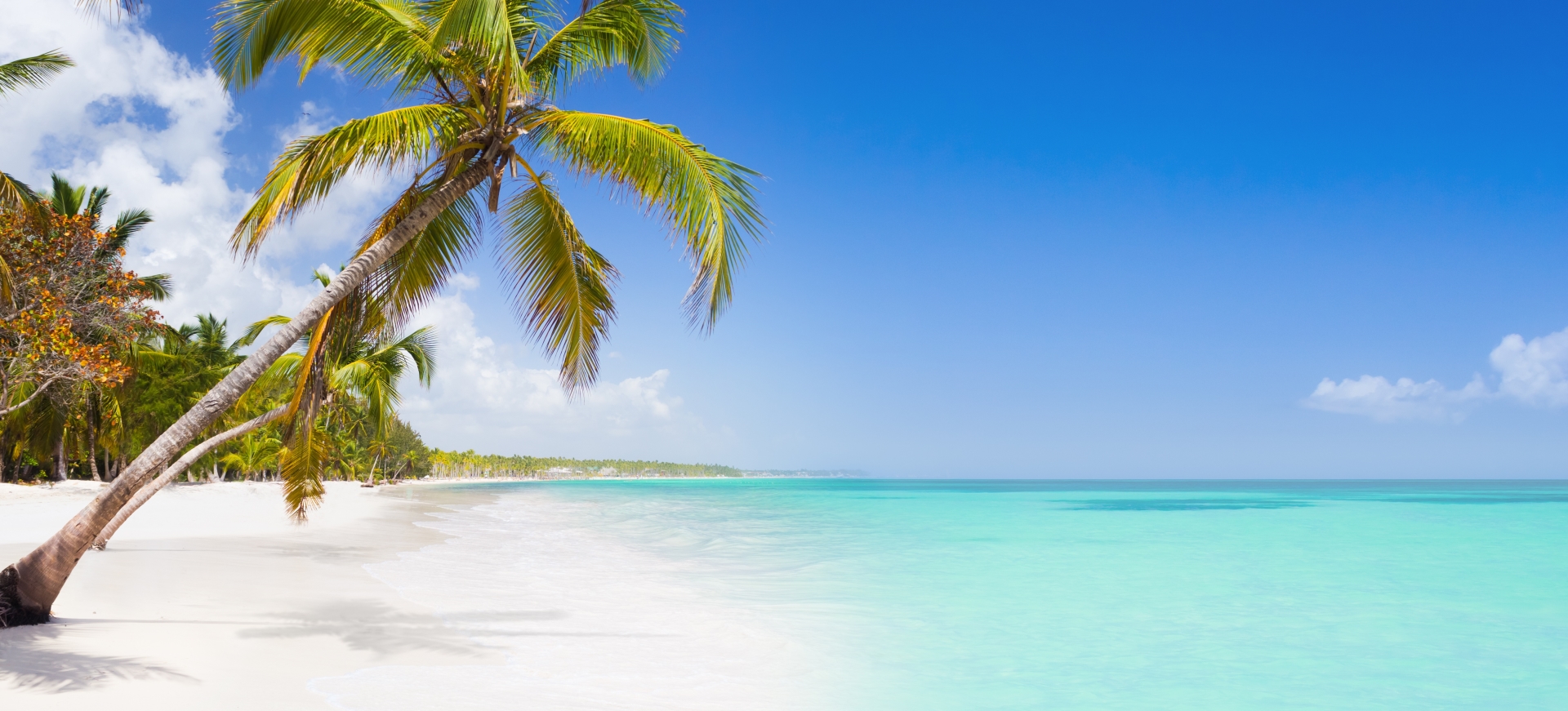 Plan your Caribbean trip today