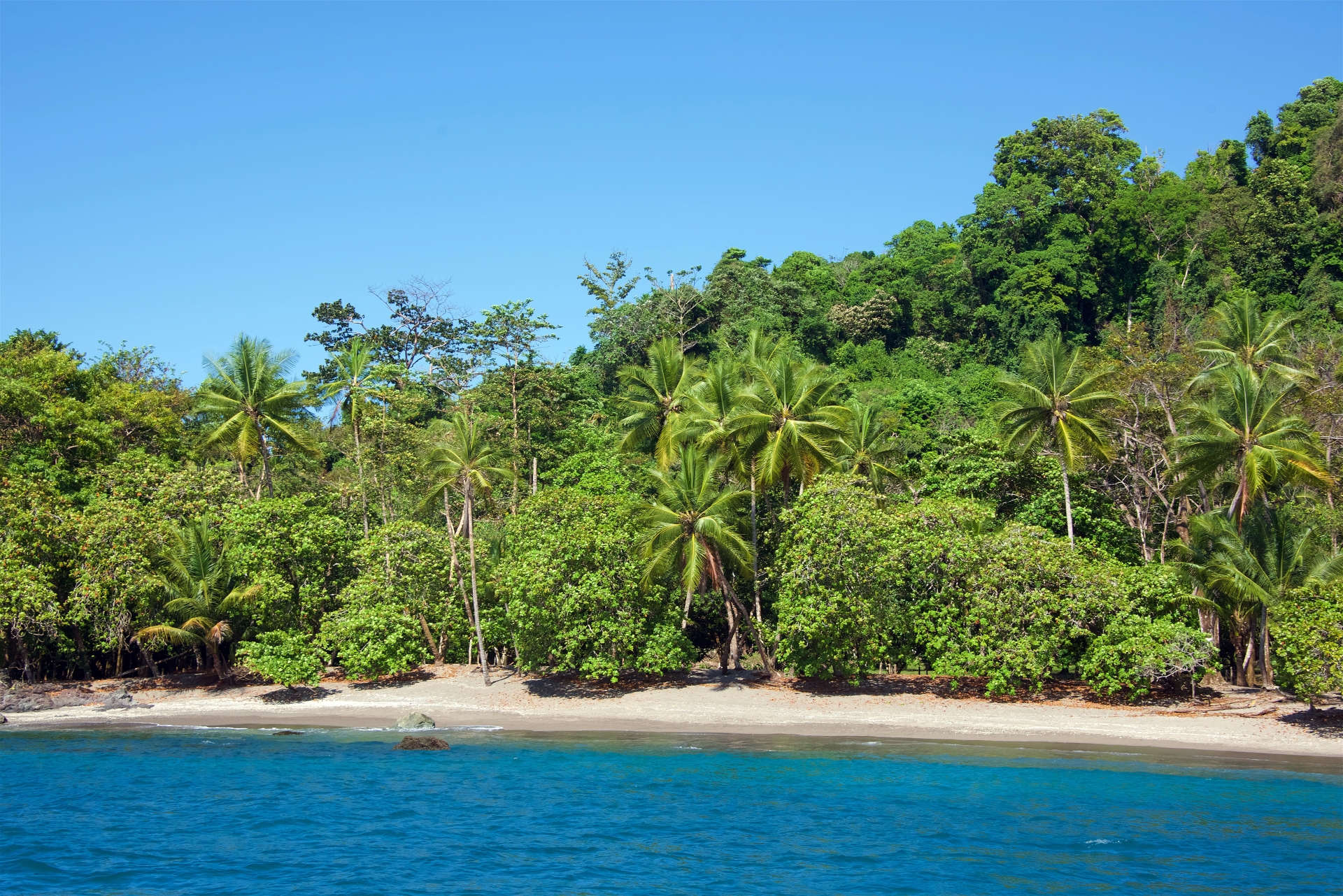 Extraordinary Costa Rica 