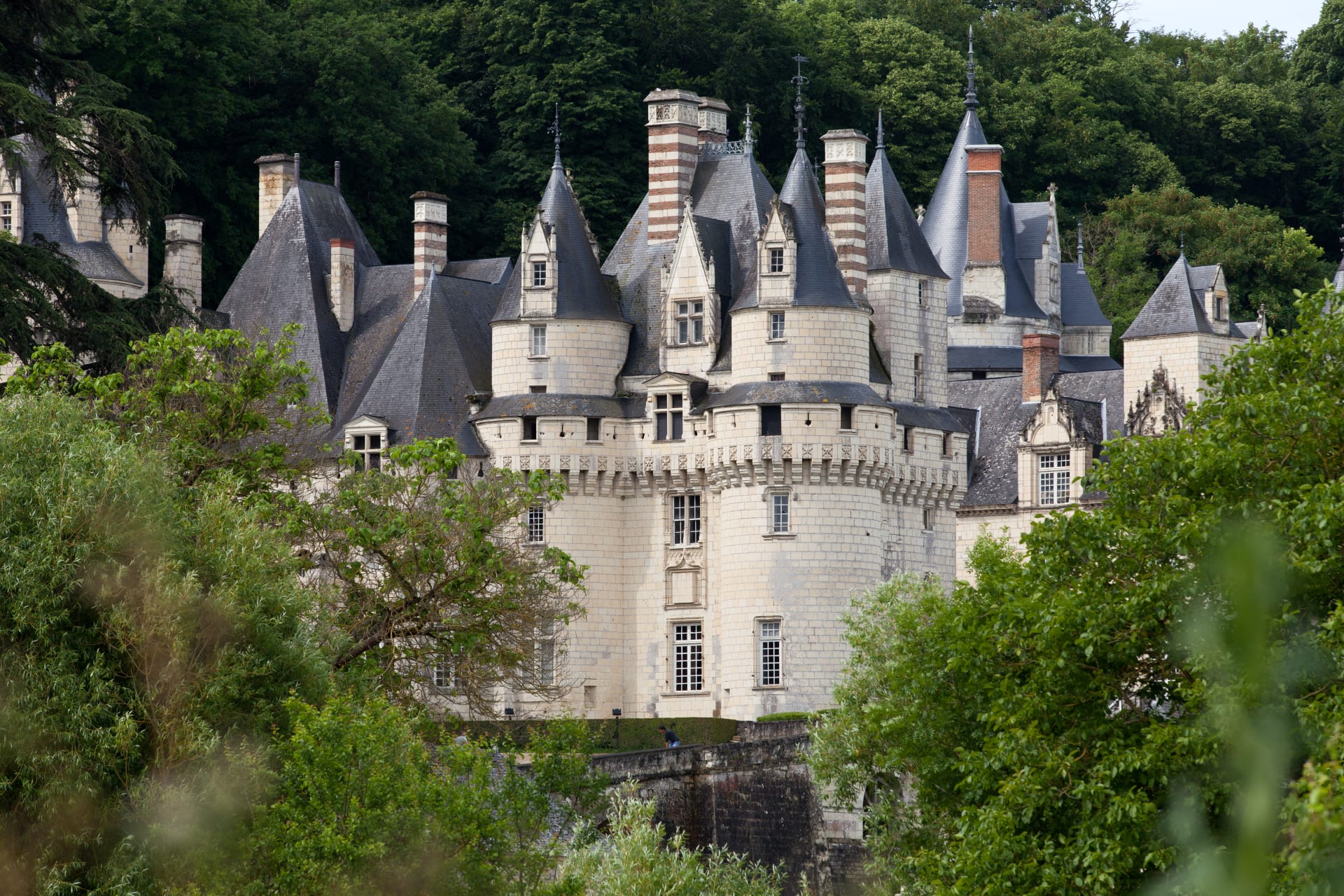 Royal Family Escapade: Paris, Versailles & Loire Valley 