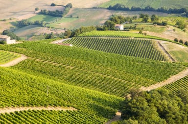 Tastes of Bordeaux 