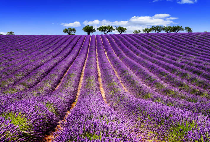 South of France Family Holidays