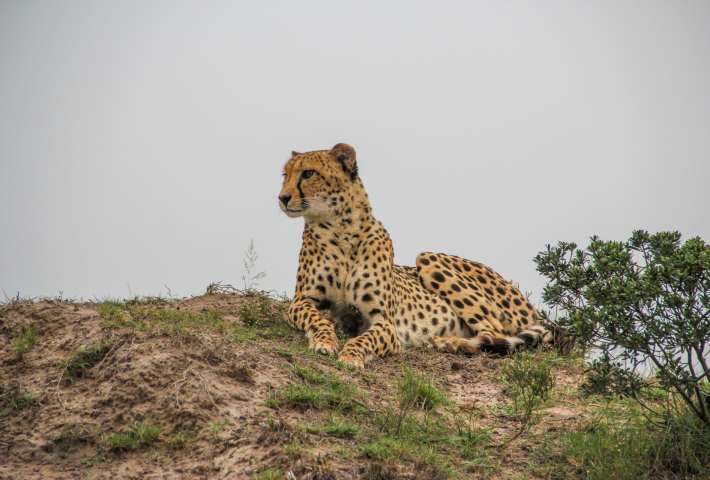 Eastern Cape