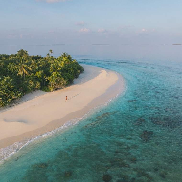 Barefoot Beach Vacations