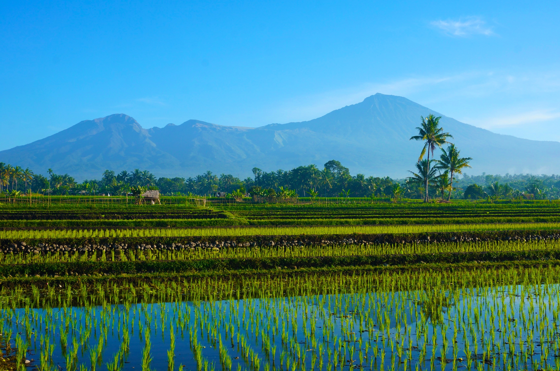 Epic Bali and Lombok 