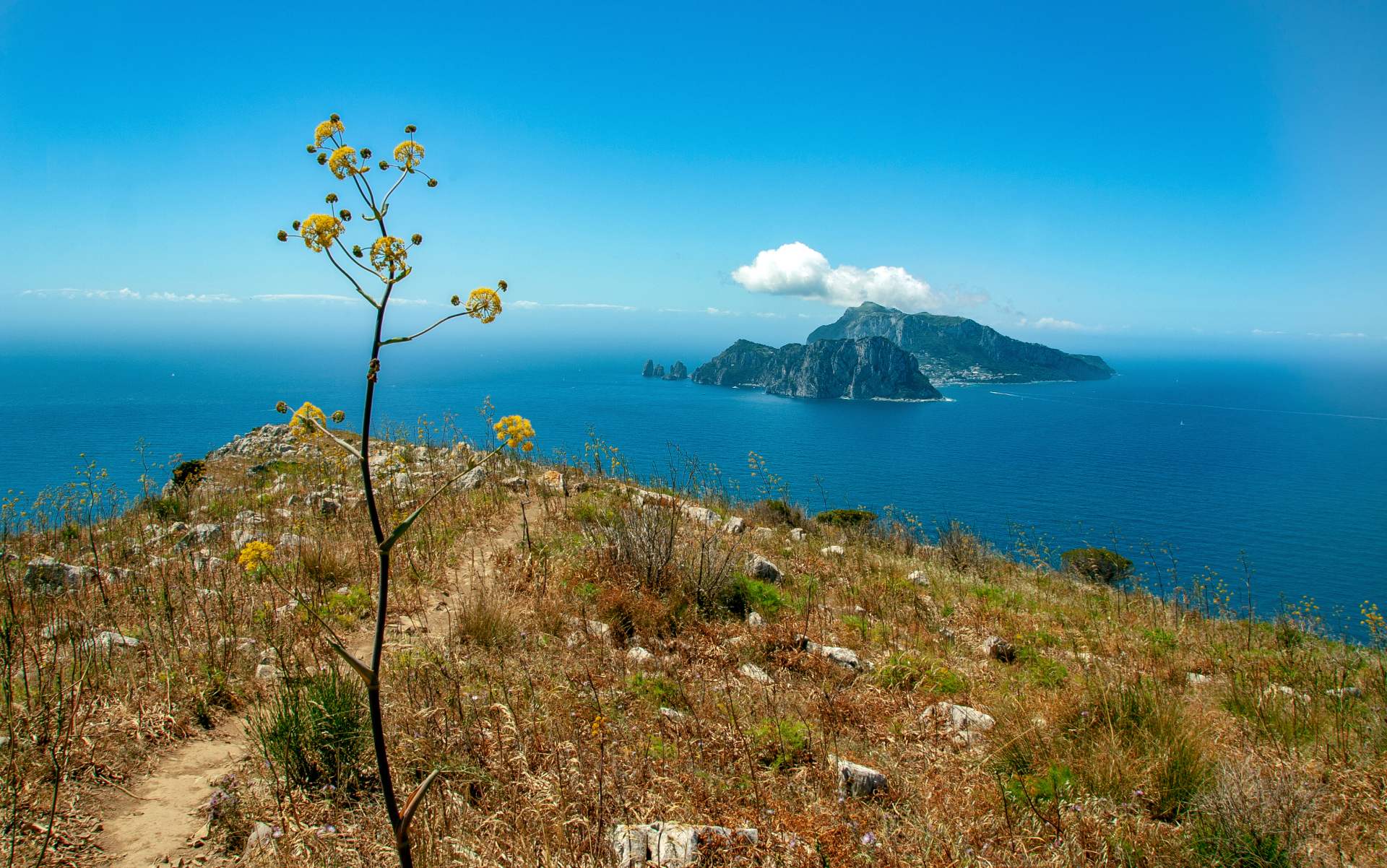 Wild Encounters: Italy 