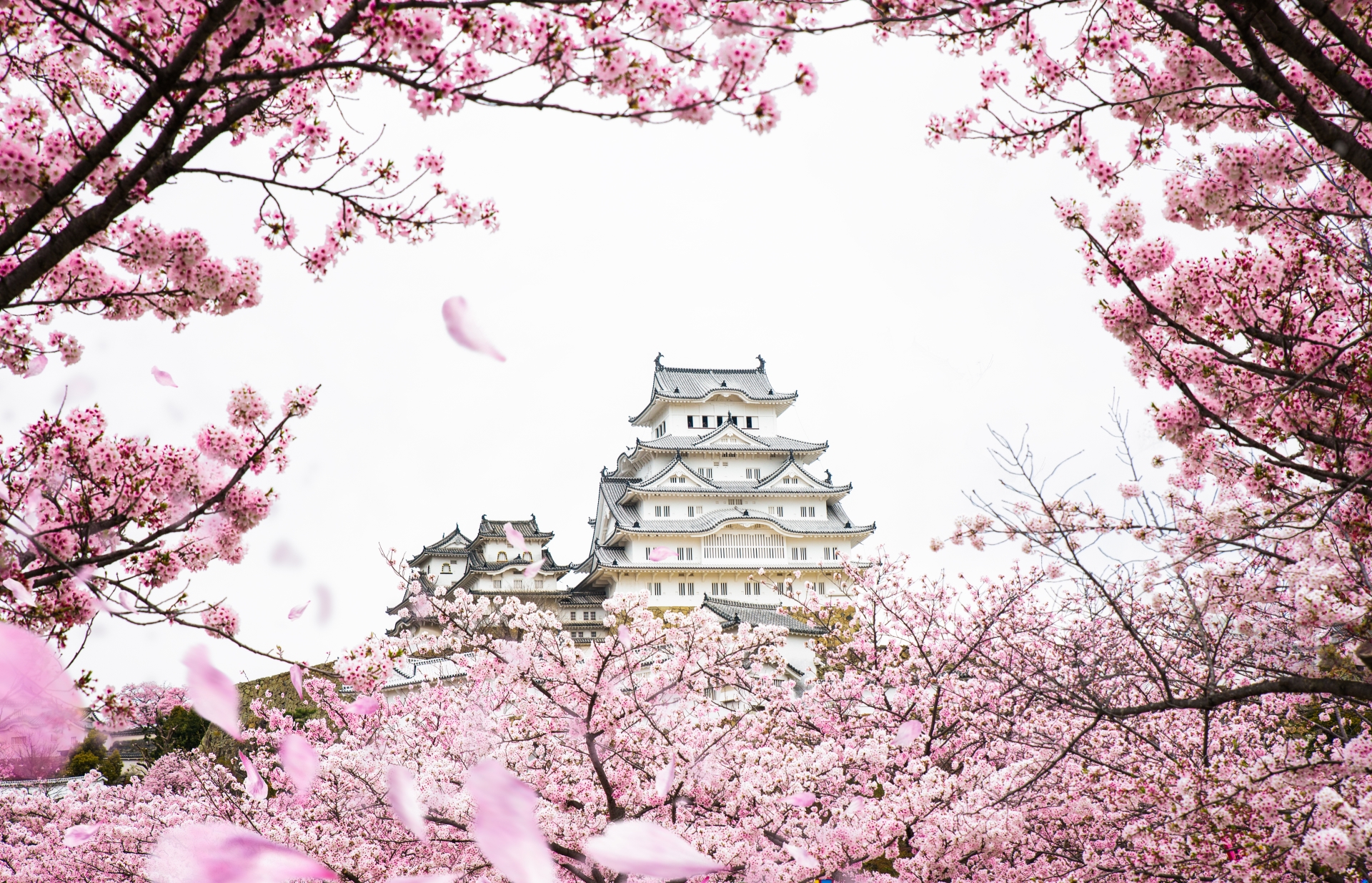 A Short Getaway to Kansai 