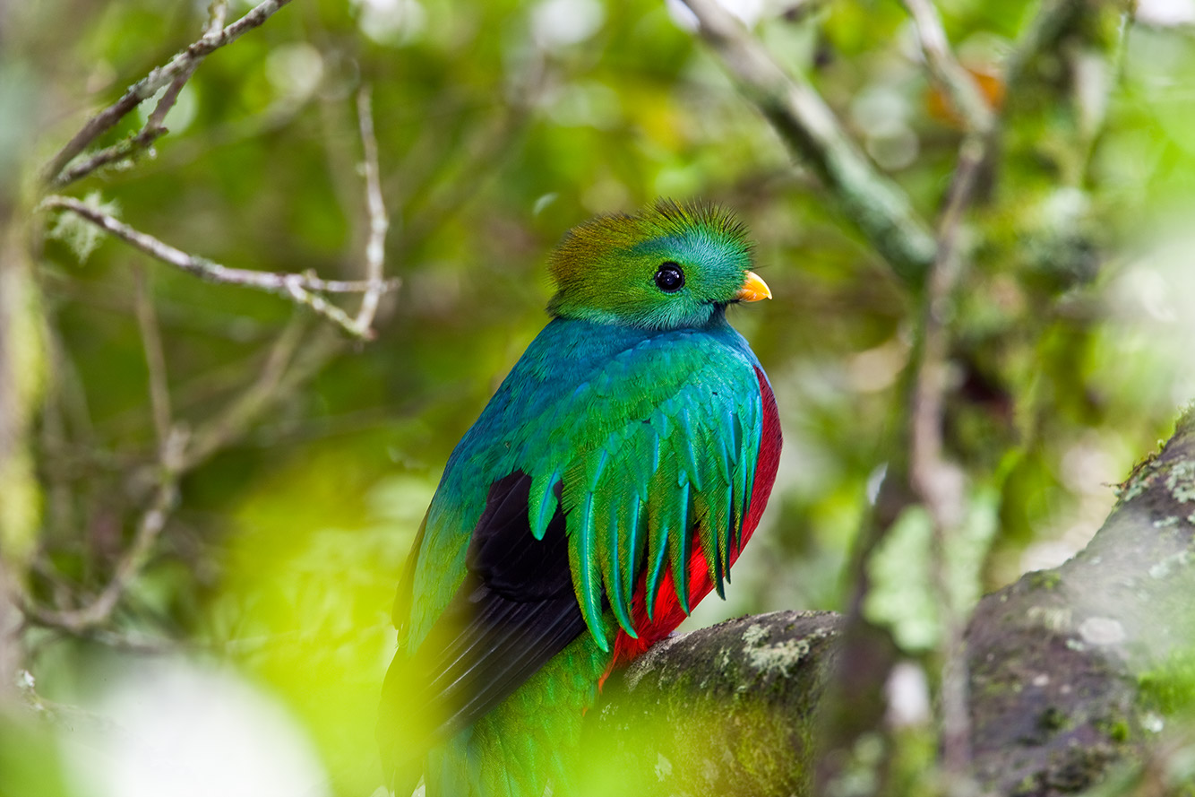 Ultimate Panama & Costa Rica 