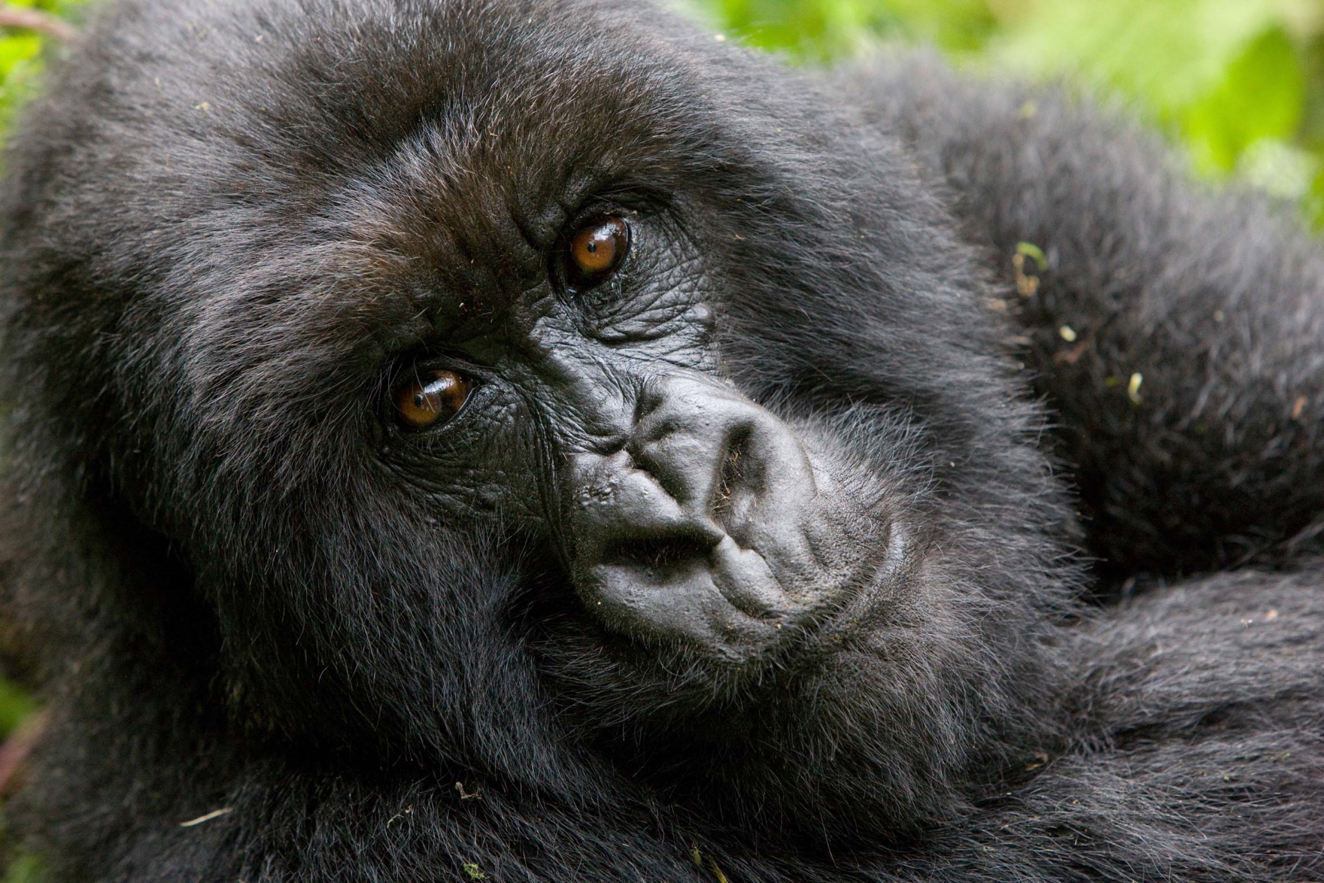 Highlights of Rwanda and South Africa 