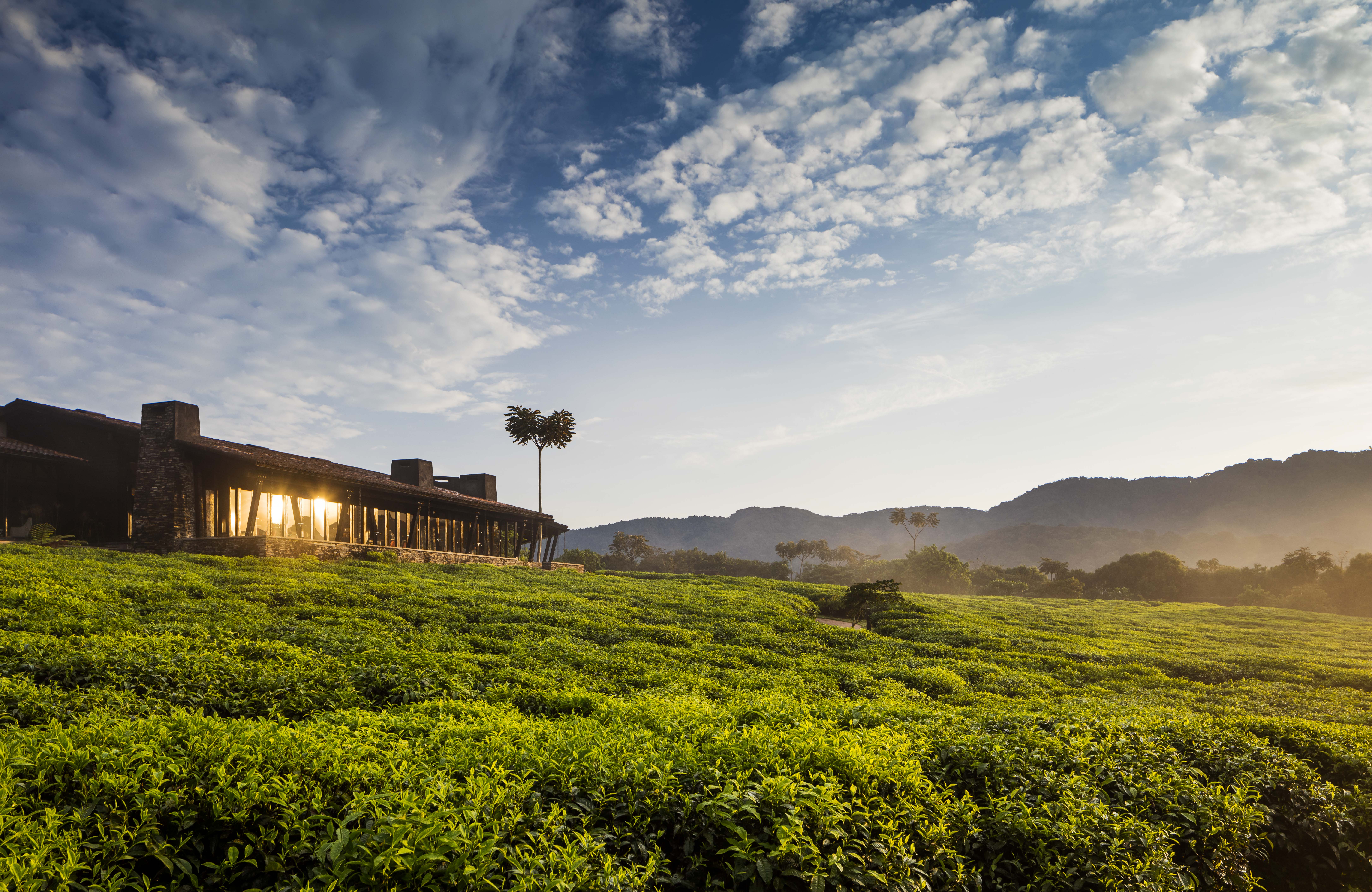 Highlights of Rwanda 