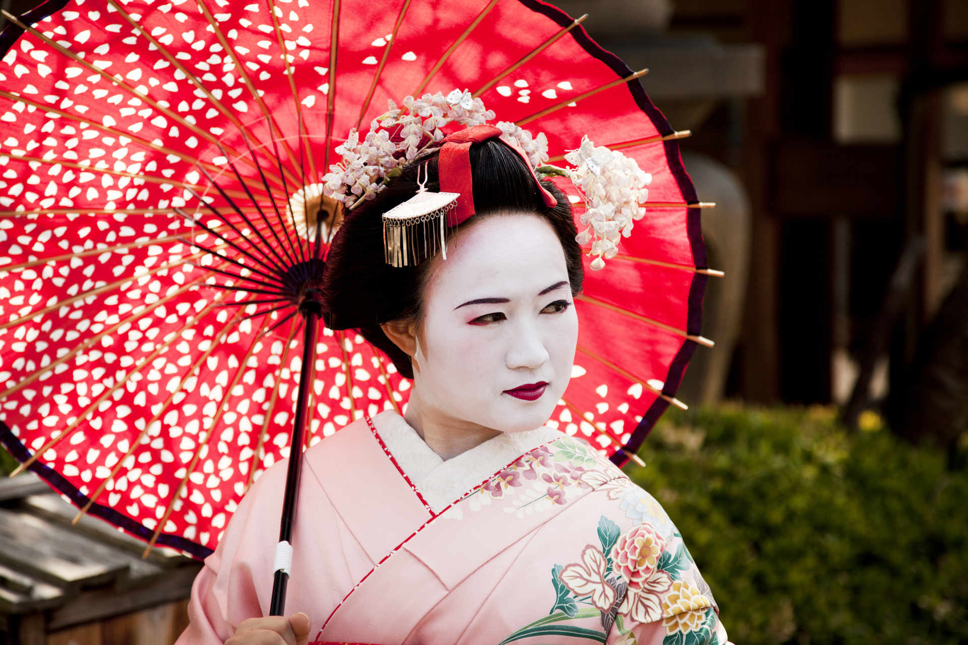 Journey through Japan and South Korea 