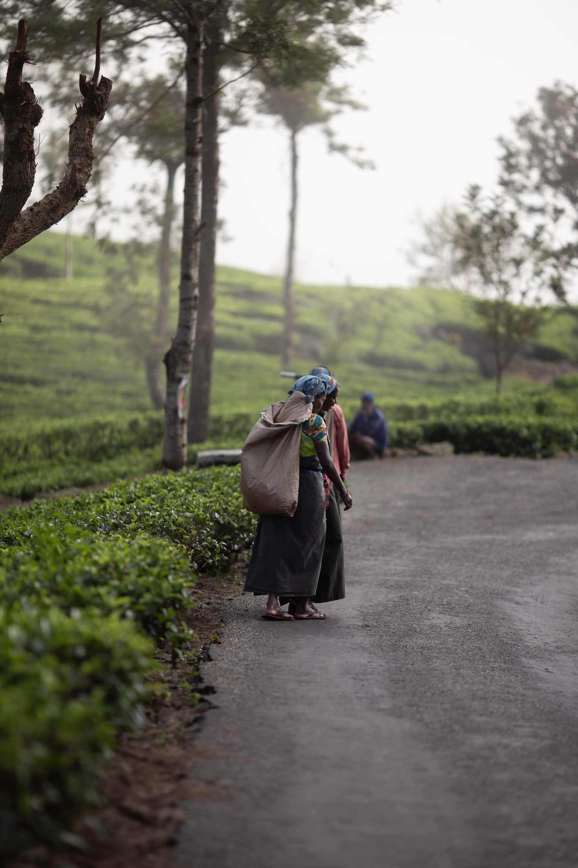 Meaningful Sri Lanka - A journey with impact 